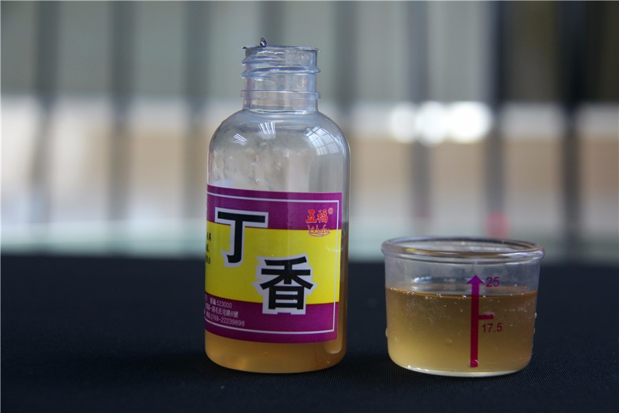 丁香2.jpg